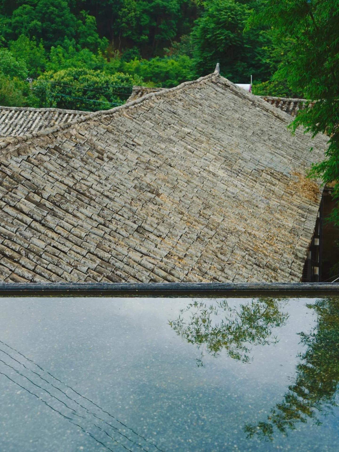 No Flowers Boutique Hostel Kunming Exterior foto